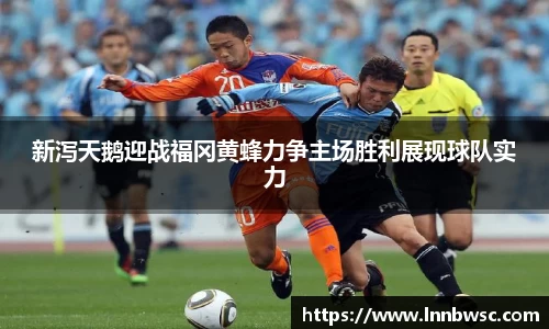 新泻天鹅迎战福冈黄蜂力争主场胜利展现球队实力